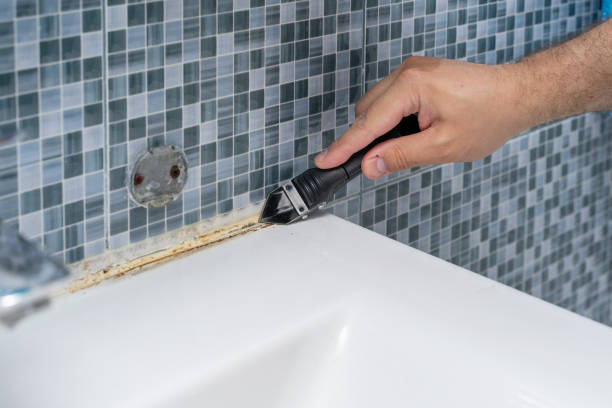 Best Mold Damage Repair  in Duenweg, MO